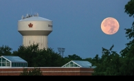 Maple Grove Moon Setting