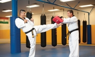 World Taekwondo Academy