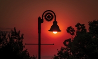 Maple Grove Sun Light by Rod Smoliak