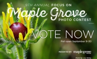 A graphic advertising voting for the 2019 Focus on Maple Grove photo contest.