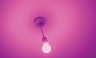A purple lightbulb, which represents shining a light on domestic violence for Domestic Violence Awareness Month