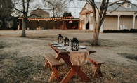 A backyard set up for entertaining.