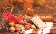 A Thanksgiving book sits among symbols of fall - pumpkins, leaves and apples.