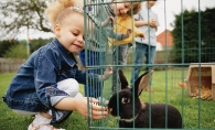 Girl petting a bunny
