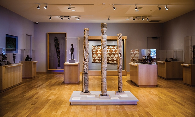 The American Museum of Asmat Art