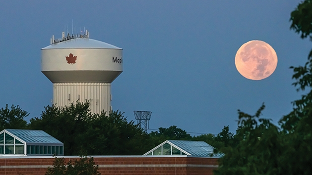 Maple Grove Moon Setting