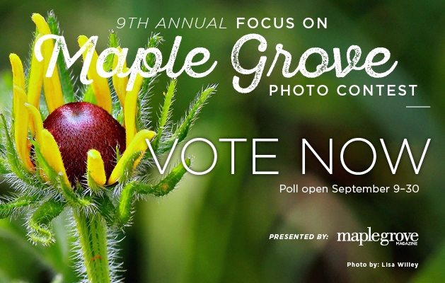 A graphic advertising voting for the 2019 Focus on Maple Grove photo contest.