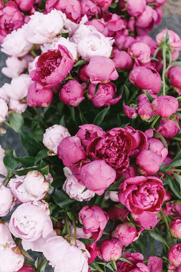 A bundle of pink flowers.