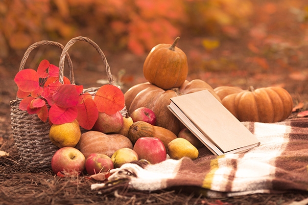 A Thanksgiving book sits among symbols of fall - pumpkins, leaves and apples.