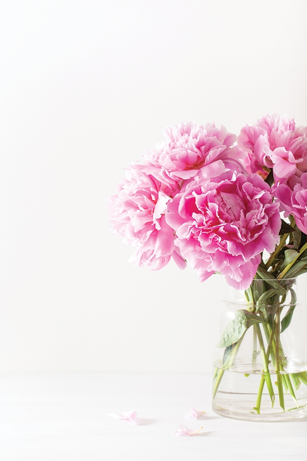 vase of pink peonies