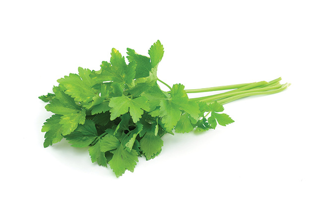 Fresh herbs, one of the key ingredients of Vietnamese cuisine