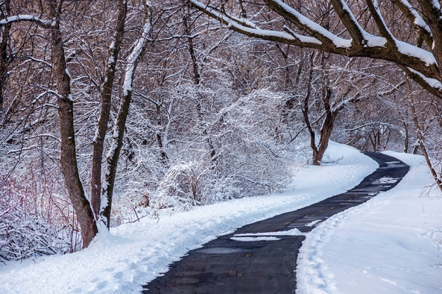 Winter Trail