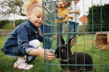 Girl petting a bunny