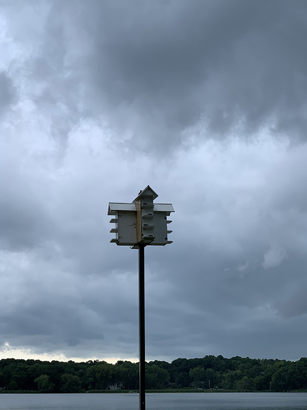 Stormy skies behind a bird house.