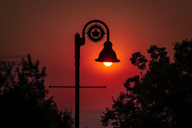 A streetlight illuminates the trees in Maple Grove